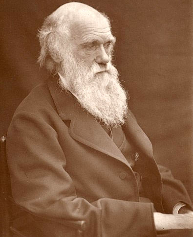 Чарльз Дарвин, 1878 г.