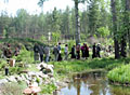 Ботанический сад в Академгородке